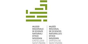 lgogo_museo